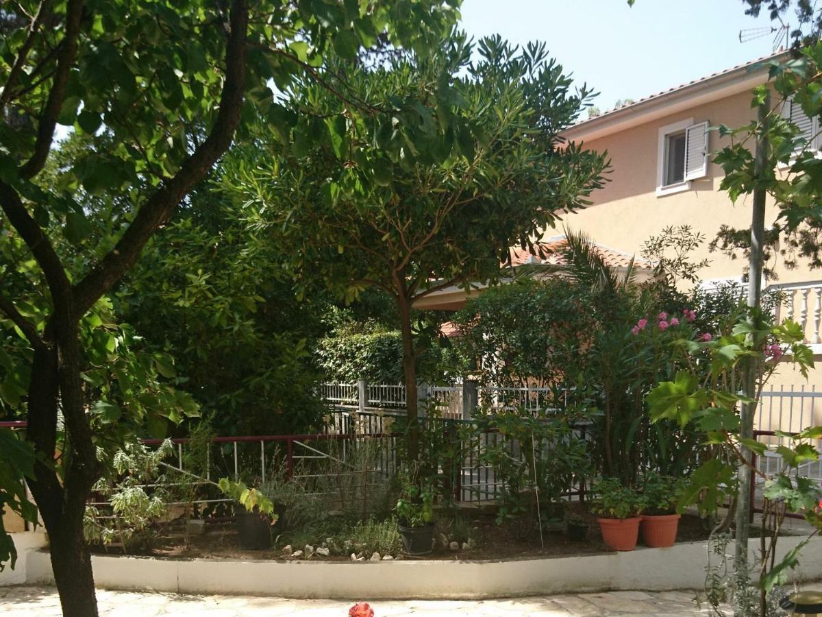 Apartmani Matas Petrčane Zewnętrze zdjęcie