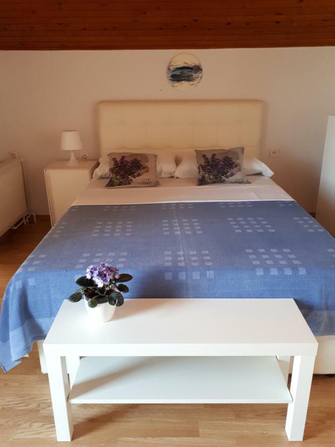 Apartmani Matas Petrčane Zewnętrze zdjęcie