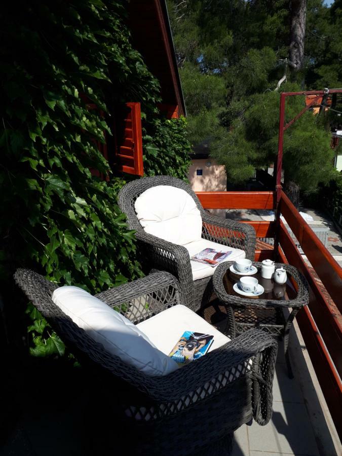 Apartmani Matas Petrčane Zewnętrze zdjęcie