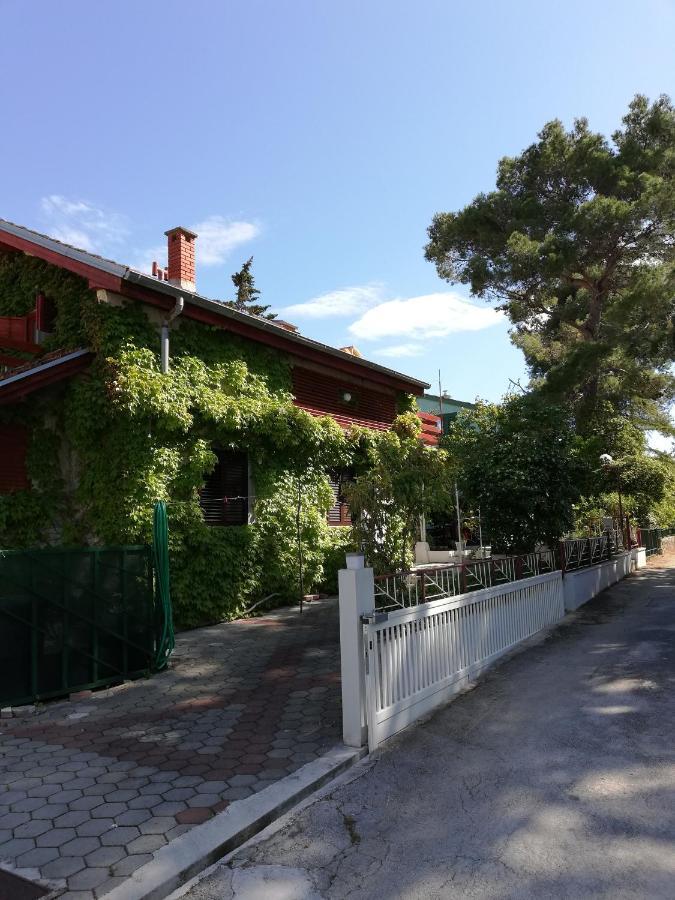 Apartmani Matas Petrčane Zewnętrze zdjęcie